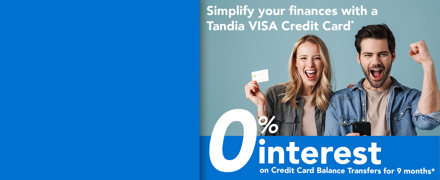 0% Interest VISA Card